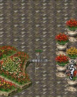 汾̳_gm汾̳վԴ